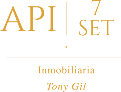 Logo API7INMO